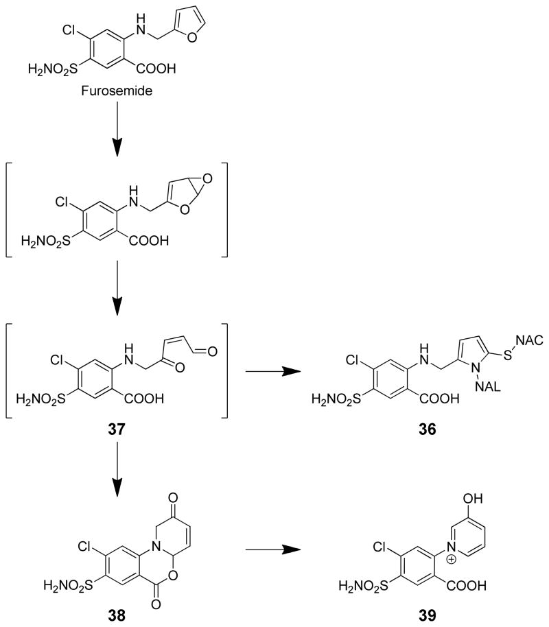 Scheme 8