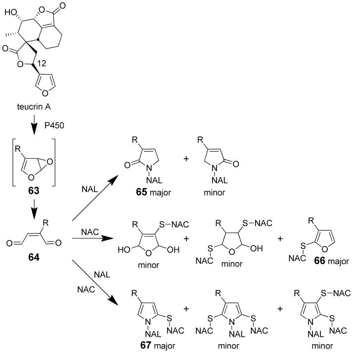 Scheme 15