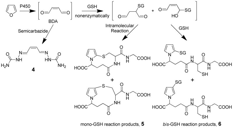 Scheme 2