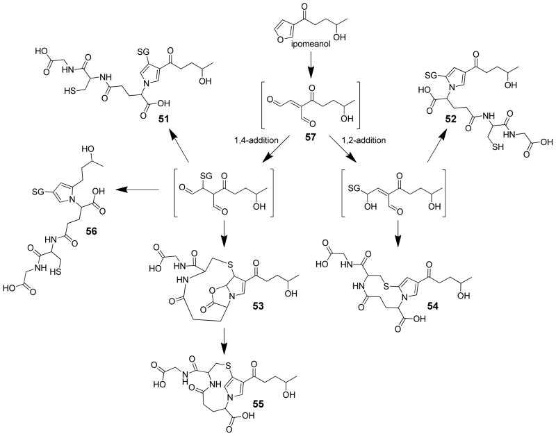 Scheme 12