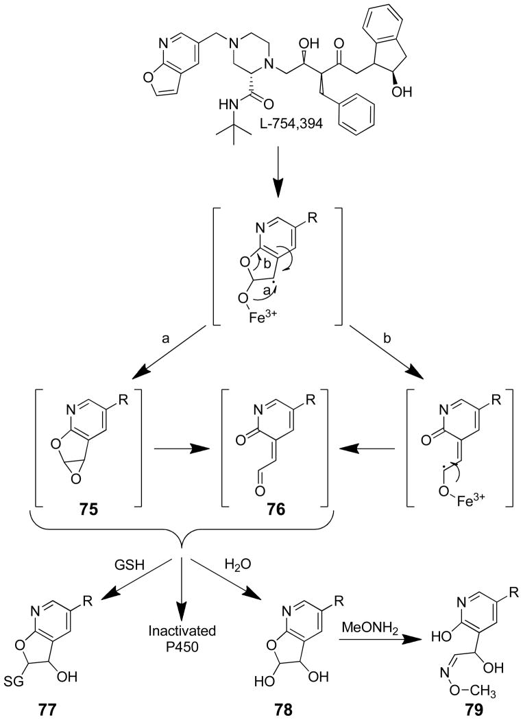 Scheme 18