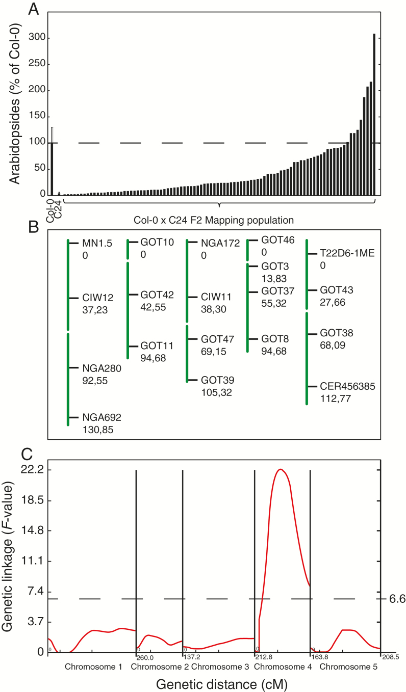 Fig. 6.