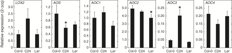 Fig. 5.