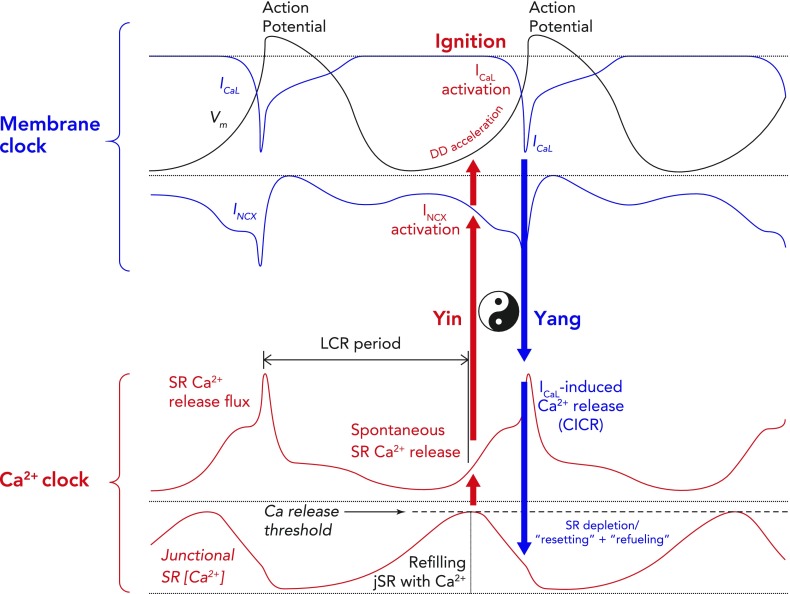 FIGURE 3.