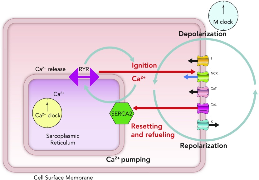 FIGURE 2.