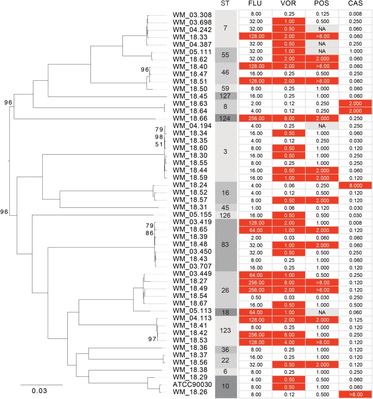 FIGURE 3