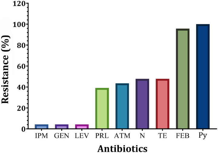 FIGURE 2