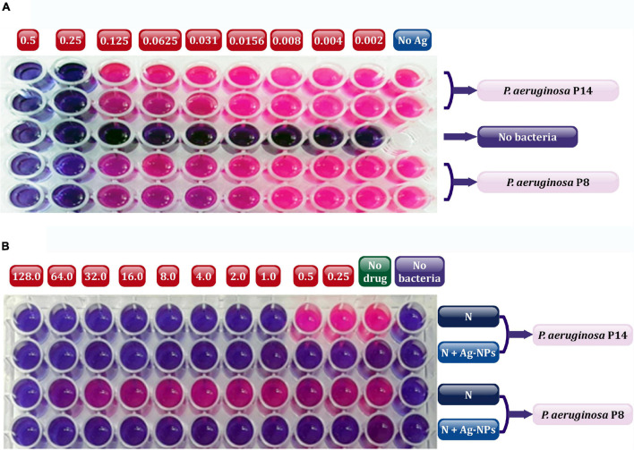 FIGURE 6