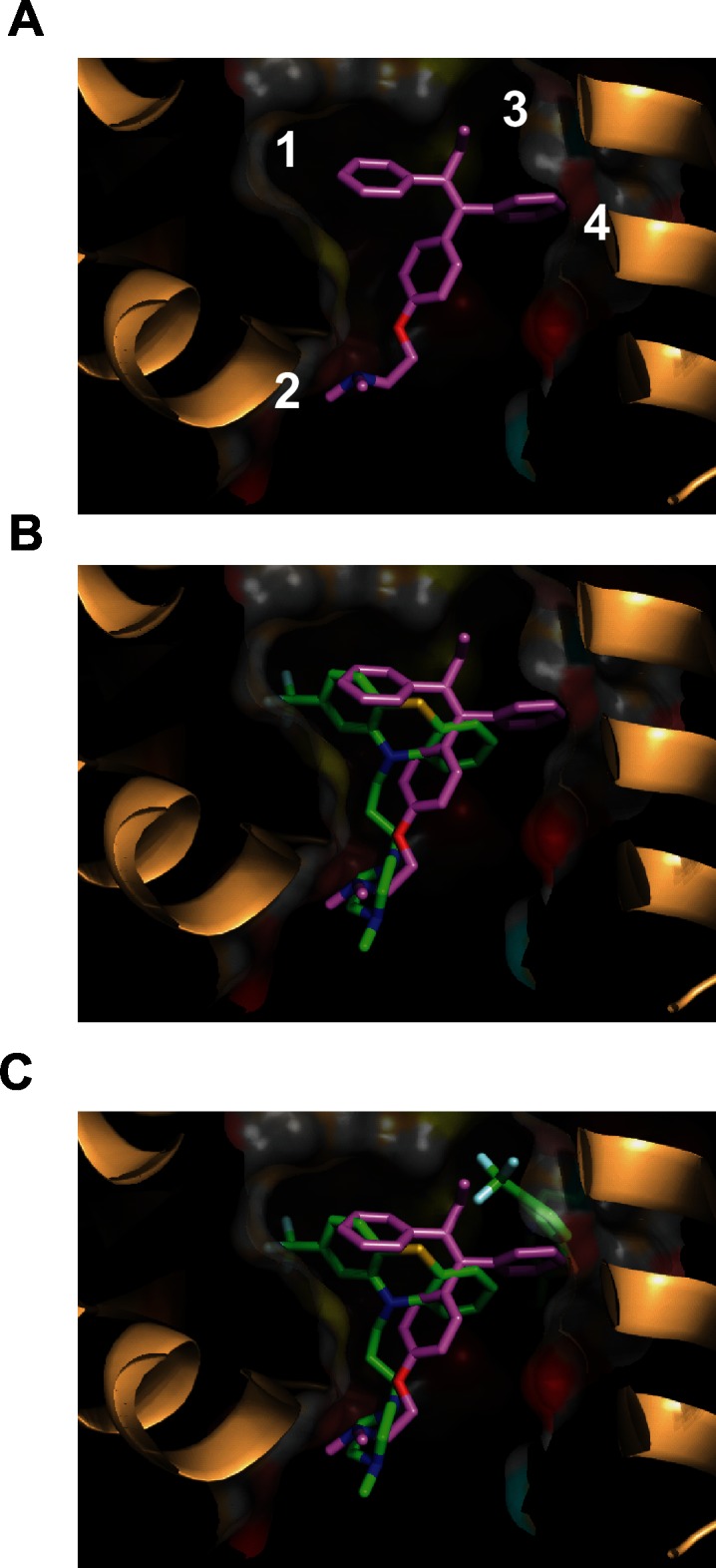 Fig 6