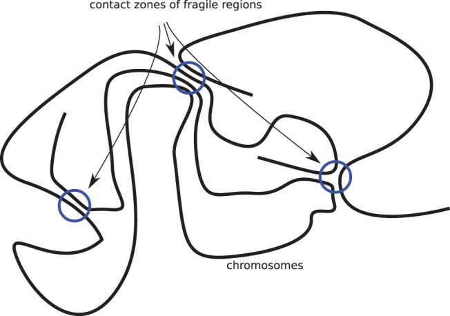 Fig. 6.—