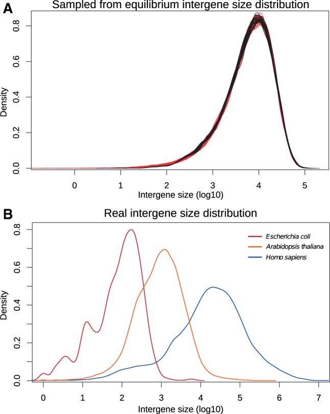 Fig. 2.—