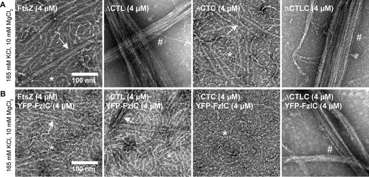 Figure 11.