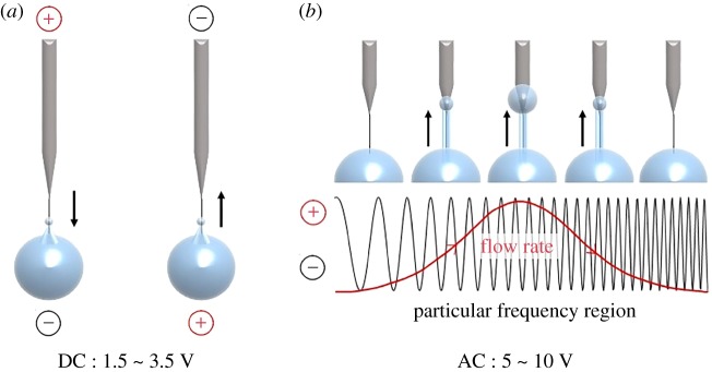 Figure 2.