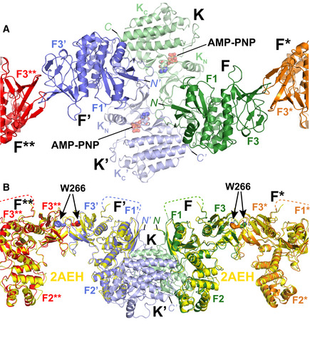 Figure 2