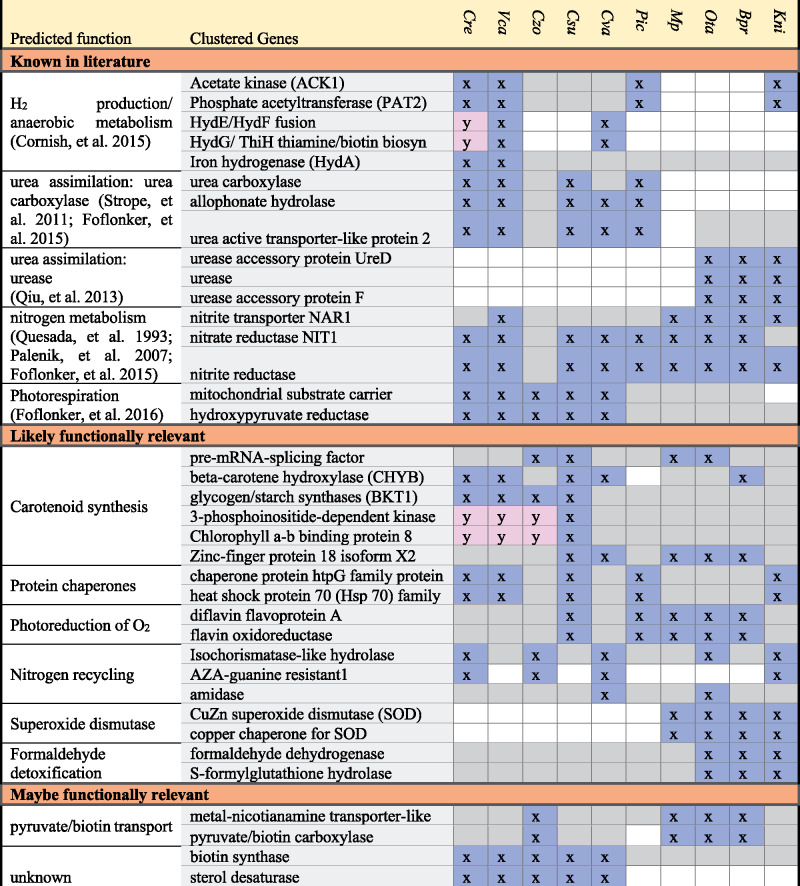 graphic file with name msaa221ilf1.jpg