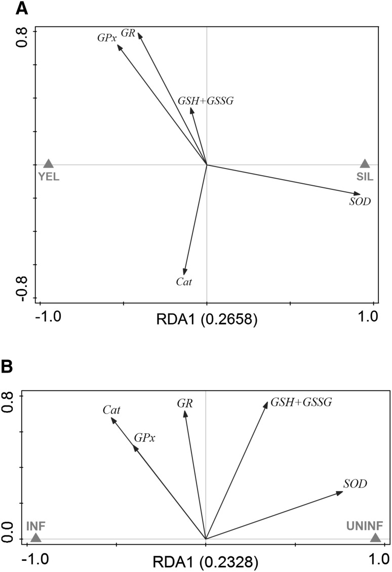 Fig. 5