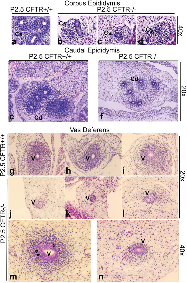 Figure 6: