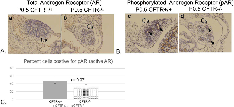 Figure 10: