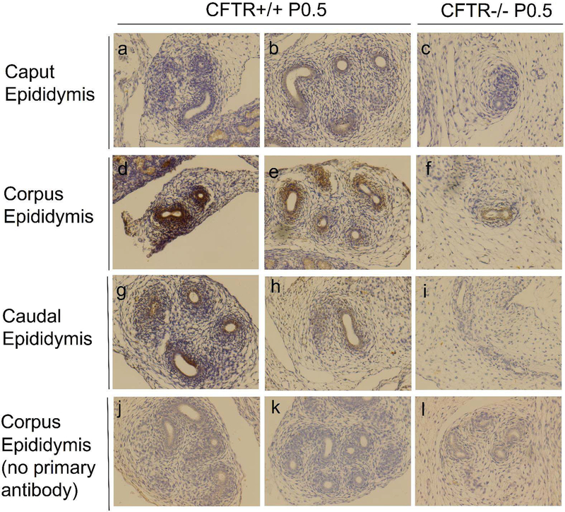 Figure 9: