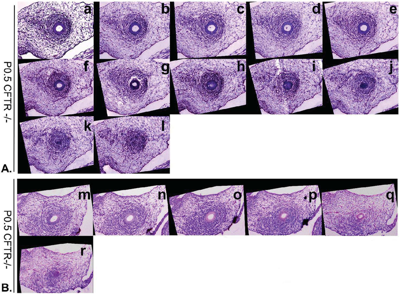 Figure 3: