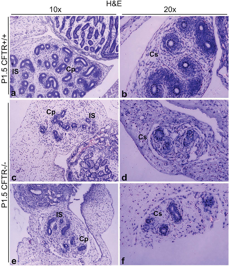 Figure 4: