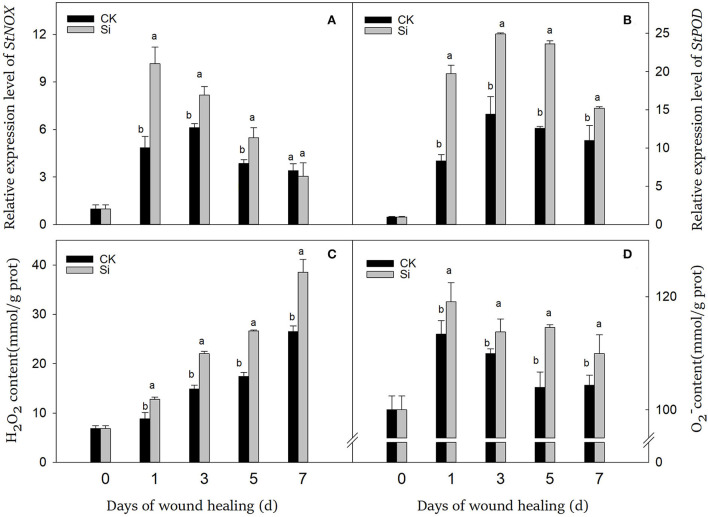 Figure 5