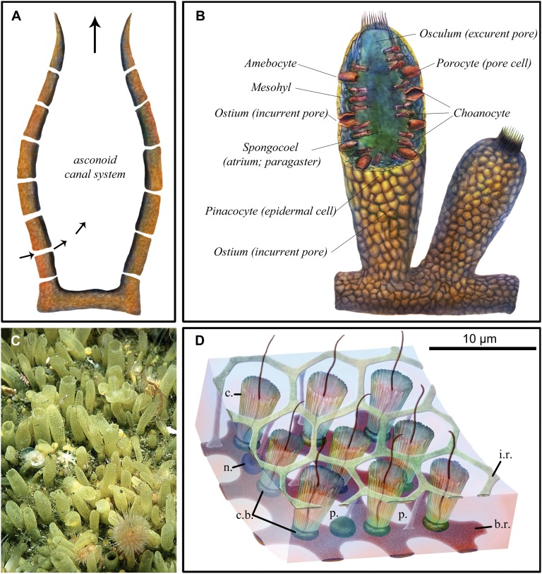 Fig. 3.