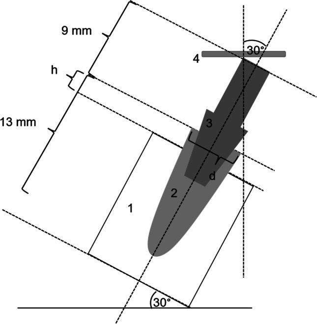 Fig. 4