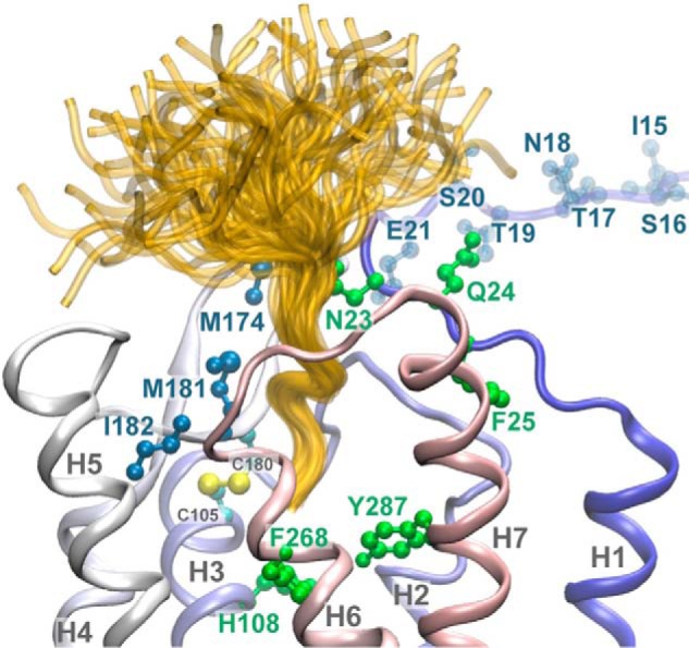 FIGURE 5.