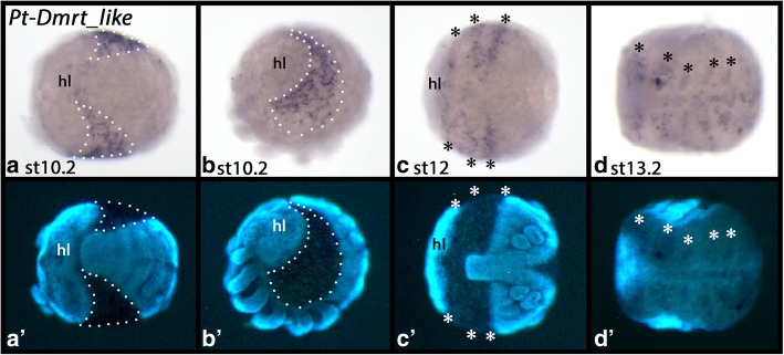 Fig. 8