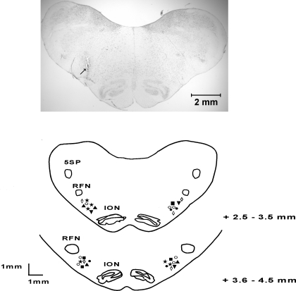 Fig. 4.