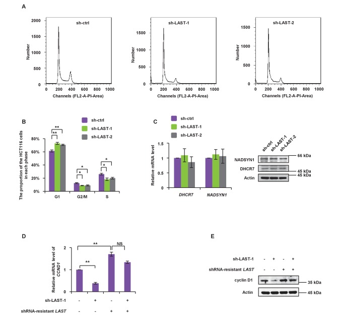 Figure 2—figure supplement 1.