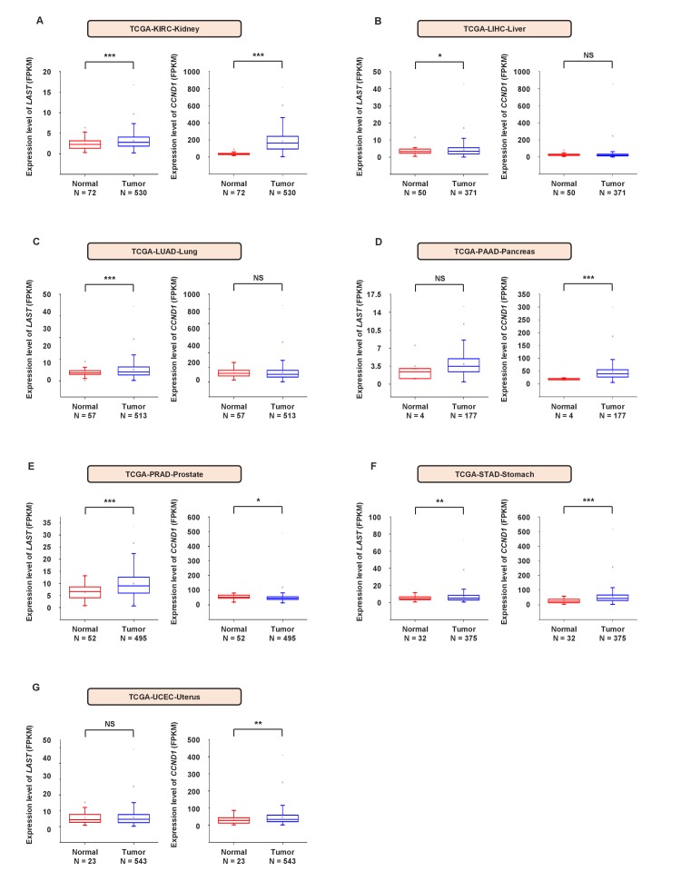 Figure 6—figure supplement 2.