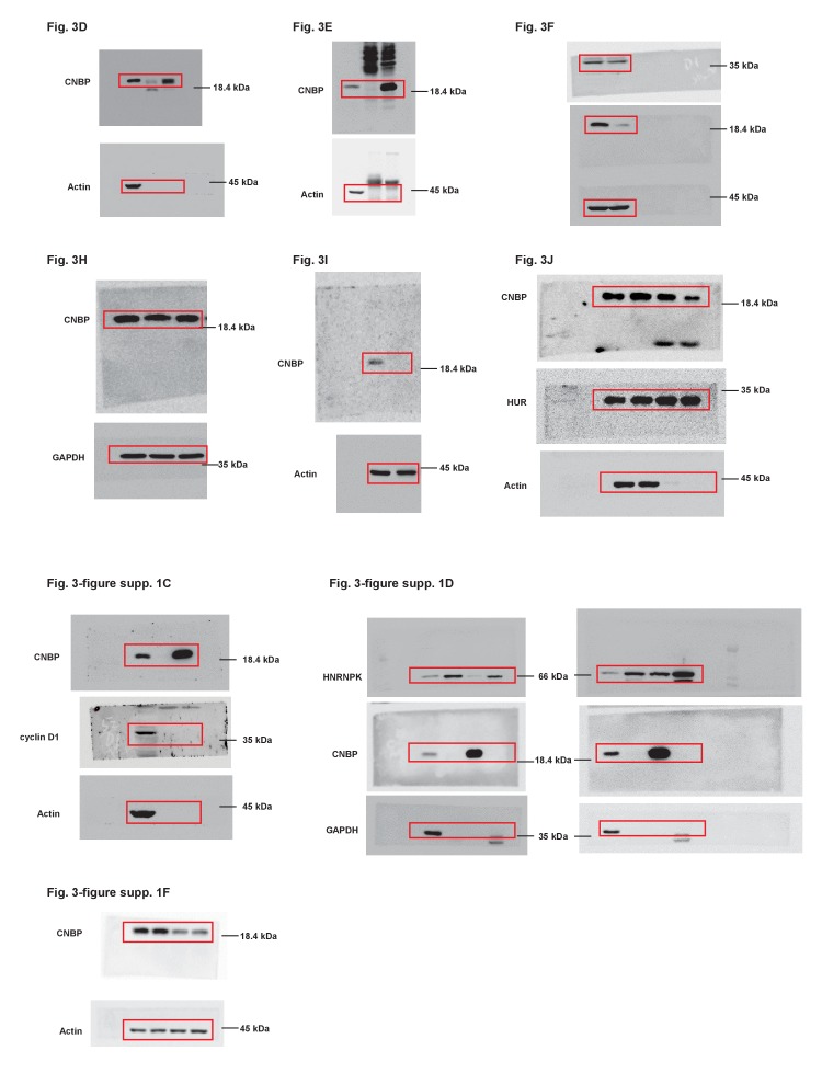 Figure 3—figure supplement 2.