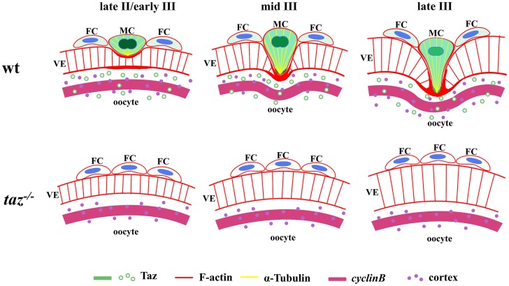 Fig 8