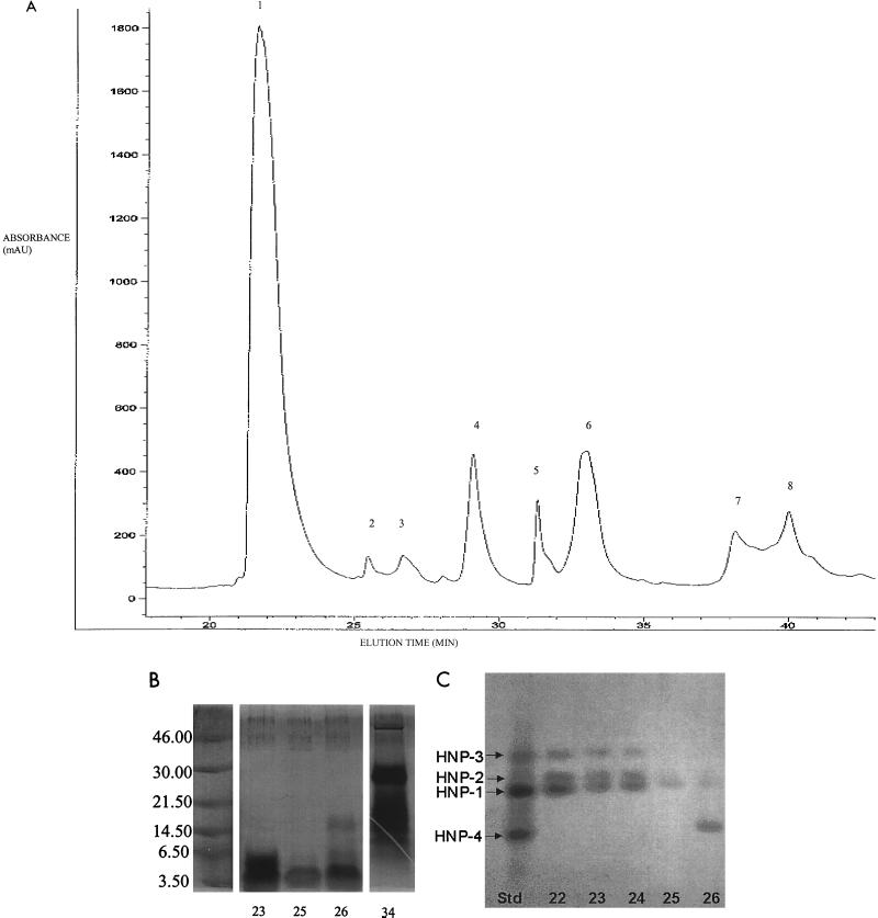 FIG. 7