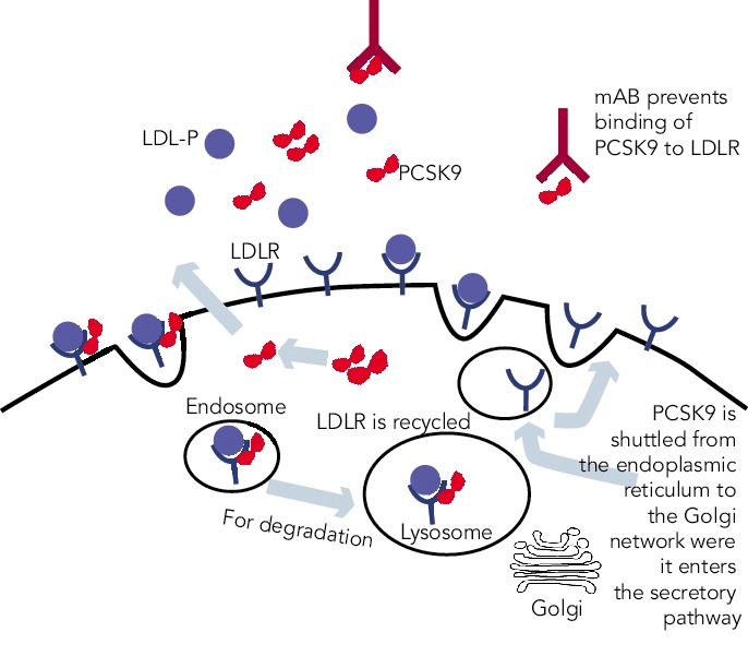 Figure 1: