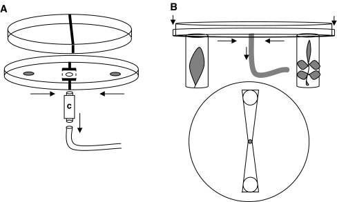 Fig. 1