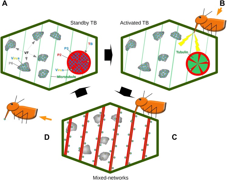 Figure 11.