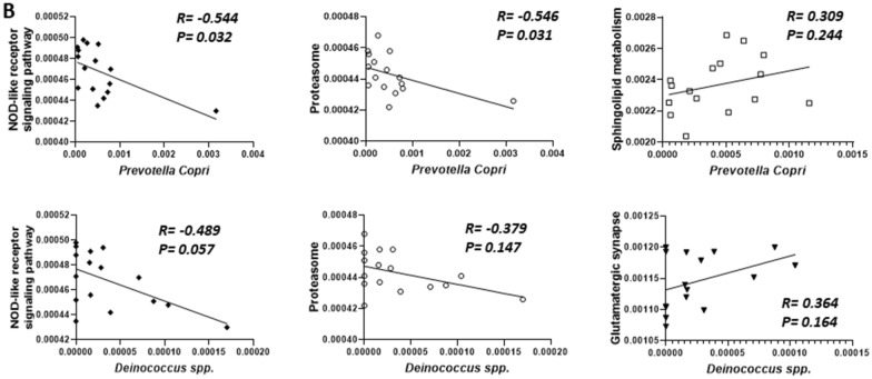 Fig. 11