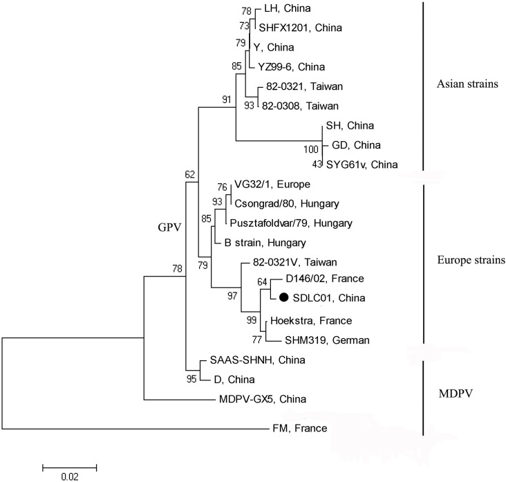 Fig 1