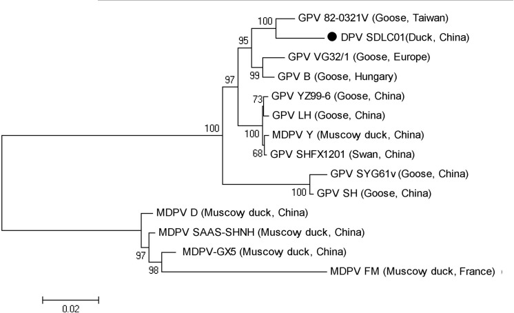 Fig 3