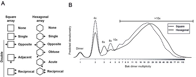 Figure 6—figure supplement 2.