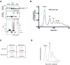 Figure 6—figure supplement 3.