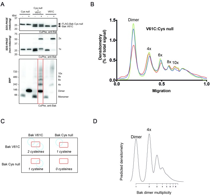 Figure 6—figure supplement 3.