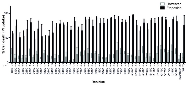 Figure 1—figure supplement 1.