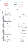 Figure 6—figure supplement 4.