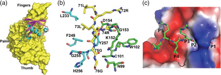 FIGURE 3