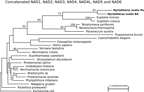 FIG. 2.