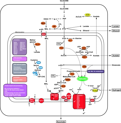 FIG. 3.